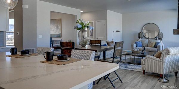 New construction Single-Family house 366 Hardstone Dr, Monument, CO 80132 - image 5