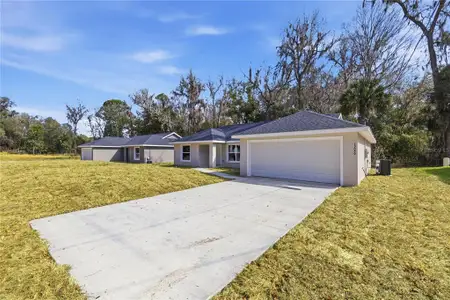 New construction Single-Family house 15059 Se 61St Ct, Summerfield, FL 34491 - image