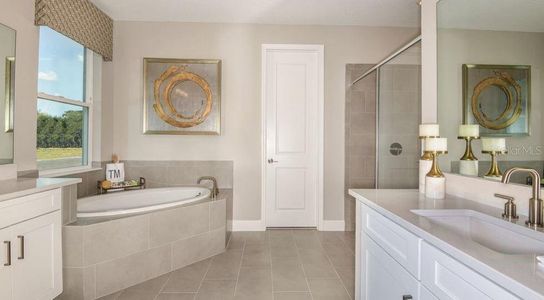 New construction Single-Family house 11236 Kingly Ln, Odessa, FL 33556 Abaco- photo 16 16