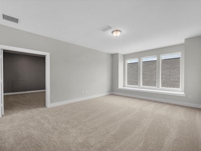 New construction Single-Family house 9619 Pink Lotus Ct, Richmond, TX 77407 plan Downy - image 19