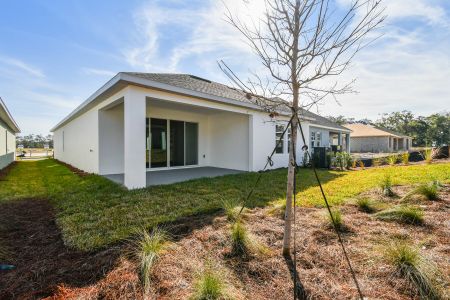 New construction Single-Family house 5938 Bristle Oak St, Mount Dora, FL 32757 The Sanborn- photo 32 32