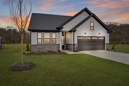 New construction Single-Family house 116 Tiger Lily Dr, Anderson, SC 29621 plan Andrews - image
