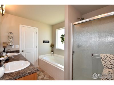 New construction Single-Family house 2416 Dandelion Ln, Johnstown, CO 80534 - image 14