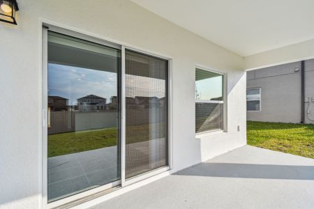 New construction Single-Family house 12193 Hilltop Farms Dr, Dade City, FL 33525 Sentinel- photo 174 174