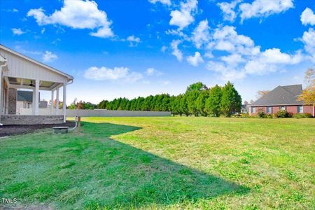 New construction Single-Family house 46 Otter Hole Dr, Kenly, NC 27542 null- photo 30 30