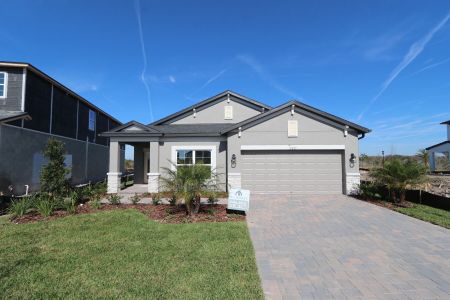 New construction Single-Family house 31229 Denham Ridge Ln, Wesley Chapel, FL 33545 Newport II- photo 102 102