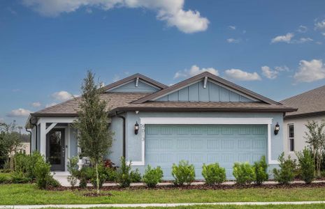 New construction Single-Family house Parrish, FL 34219 null- photo 0