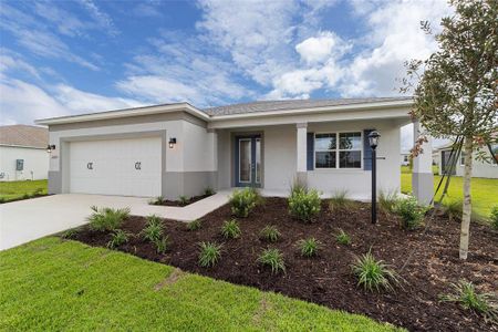 New construction Single-Family house 10393 Sw 106Th Ct, Ocala, FL 34481 - image