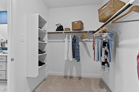 New construction Single-Family house 10618 Tall Timbers Trl, Frisco, TX 75035 plan Symmetry D377 - image 13