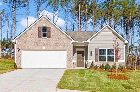 New construction Single-Family house 59 Thedford Dr, Hoschton, GA 30548 - image