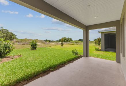 New construction Single-Family house 4487 Nw 53Rd Avenue Rd, Ocala, FL 34482 Connect Exterior D- photo 52 52