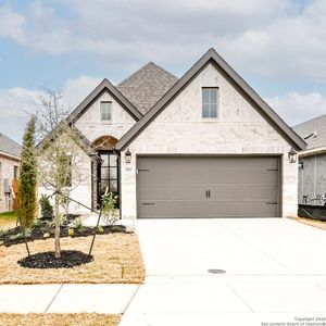 New construction Single-Family house 272 Alpine Lks, New Braunfels, TX 78130 null- photo 24 24