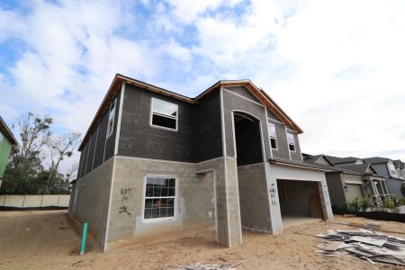 New construction Single-Family house 12134 Hilltop Farms Dr, Dade City, FL 33525 Malibu- photo 78 78