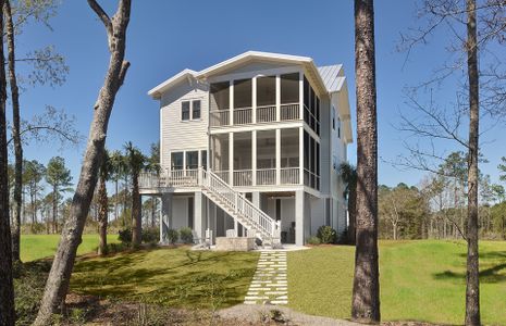 New construction Single-Family house 372 Blowing Fresh Drive, Charleston, SC 29492 - photo 0