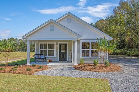 New construction Single-Family house 521 New Regenia Pl, Holly Hill, SC 29059 - image