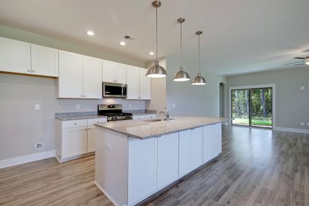 New construction Single-Family house 237 Creek Pointe Dr, Moncks Corner, SC 29461 plan Keeneland - image 4