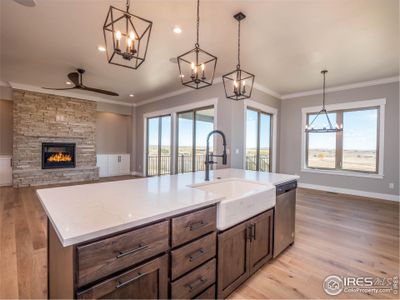 New construction Single-Family house 3806 Bridle Ridge Cir, Severance, CO 80524 - photo 13 13