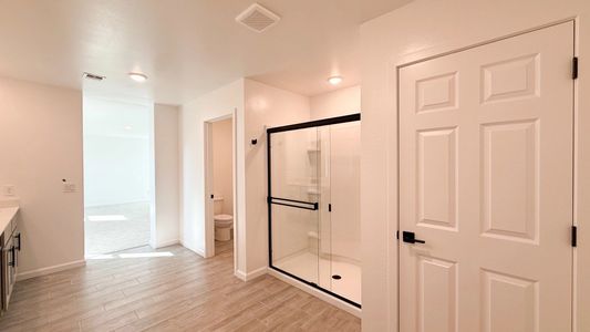 New construction Single-Family house 47167 W Pecan Woods, Maricopa, AZ 85139 plan Diamond - image 11