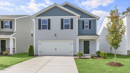 New construction Single-Family house 556 Stream Walk Xing, Wendell, NC 27591 plan ROBIE - image