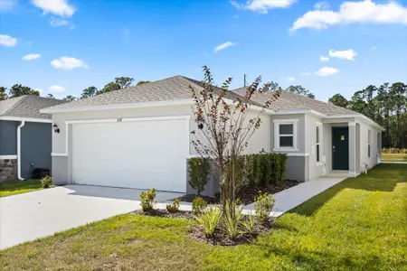 New construction Single-Family house 524 Carya Wy, Auburndale, FL 33823 - image