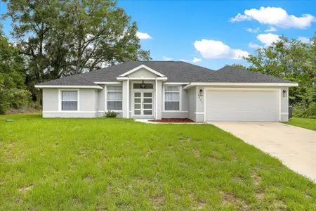 New construction Single-Family house 3625 Se 138Th St, Summerfield, FL 34491 - image