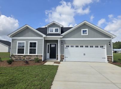 New construction Single-Family house 453 Atamasco Ct, Conway, SC 29526 plan Lanier - image