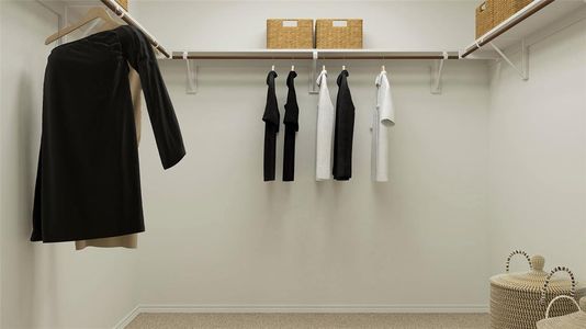 Spacious closet featuring light carpet