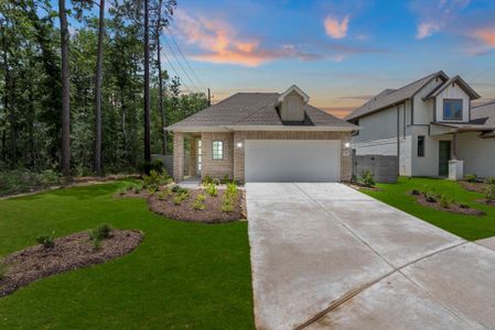 New construction Single-Family house 9362 Cordial Cir, Montgomery, TX 77316 plan Alvin - image