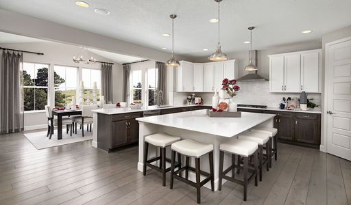 Mead at Southshore by Richmond American Homes in Aurora - photo 35 35