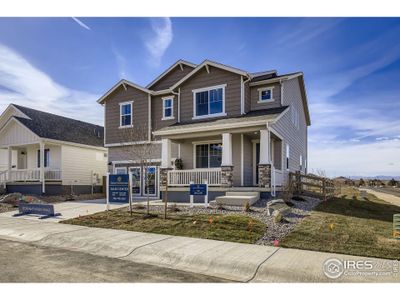 New construction Single-Family house 598 Noola St, Windsor, CO 80550 - image