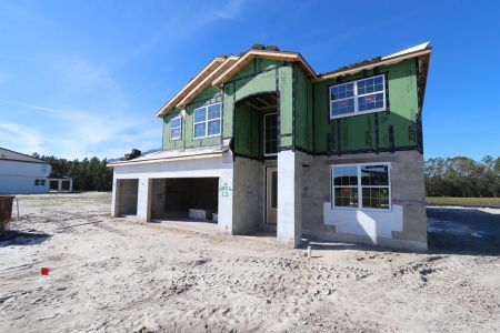 New construction Single-Family house 1787 Drummond Pt, Zephyrhills, FL 33541 Sonoma II- photo 81 81