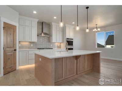 New construction Single-Family house 23845 E River Front Dr, Aurora, CO 80019 plan Sophia - image 10