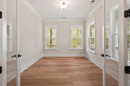 New construction Single-Family house 2508 Annie Aiden Ln, Charleston, SC 29414 plan Davis - image 19