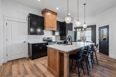 New construction Single-Family house 1025 Bermes Ct, Brock, TX 76087 - image 18