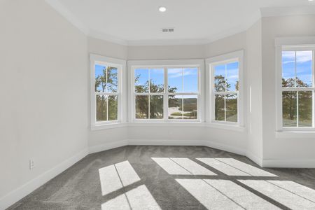 New construction Single-Family house 1095 Saltwater Cir, Johns Island, SC 29455 McKenna II- photo 35 35