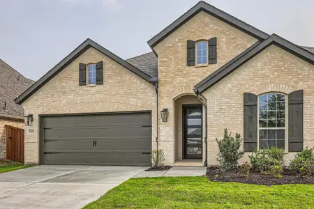 New construction Single-Family house 469 Timberdrift St, Midlothian, TX 76065 - image