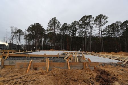 New construction Single-Family house 2416 Andrena Wy, New Hill, NC 27562 plan Blair - image