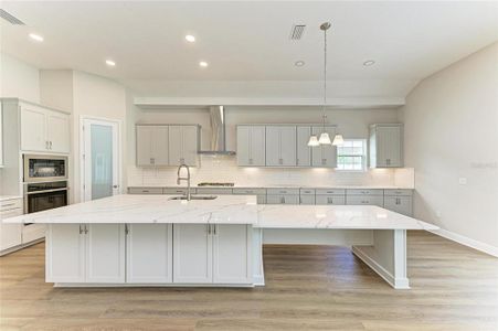 New construction Single-Family house 13072 Homestead Ln, Parrish, FL 34219 plan Biscayne I - image 14