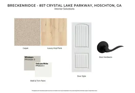 New construction Single-Family house 857 Crystal Lake Pkwy, Hoschton, GA 30548 - image