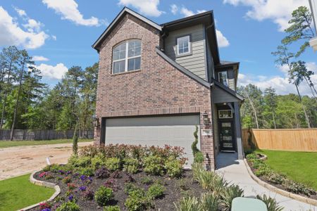 New construction Single-Family house 104 Villoria Cv, Liberty Hill, TX 78642 plan Versailles - image