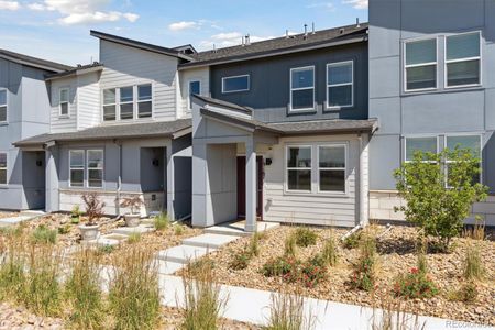 South Facing 2nd set of townhomes