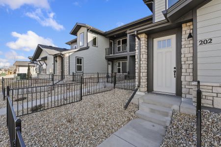 New construction Single-Family house 6793 Maple Leaf Dr, Unit 202, Timnath, CO 80547 plan Monarch - image 4