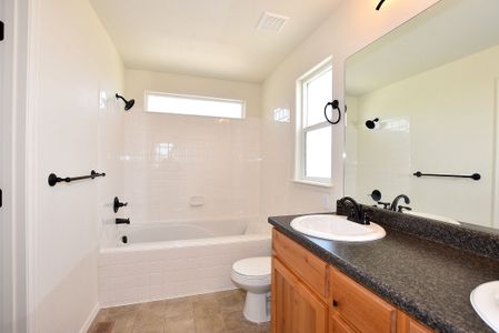 New construction Single-Family house 437 Vivid Ln, Windsor, CO 80550 null- photo 31 31