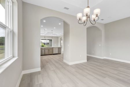 New construction Single-Family house 51 E Diamond Dr, Palm Coast, FL 32164 plan Birkdale - image 20