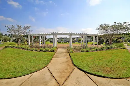 New construction Single-Family house 525 Verdi Dr, Summerville, SC 29486 FANNING- photo 62 62