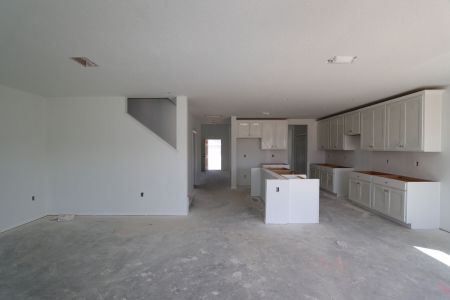 New construction Single-Family house 12219 Hilltop Farms Dr, Dade City, FL 33525 Malibu- photo 76 76