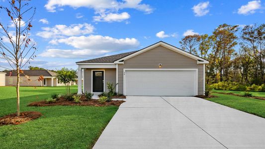 New construction Single-Family house 23 Pollen Dr, Ridgeland, SC 29936 plan Downing - image
