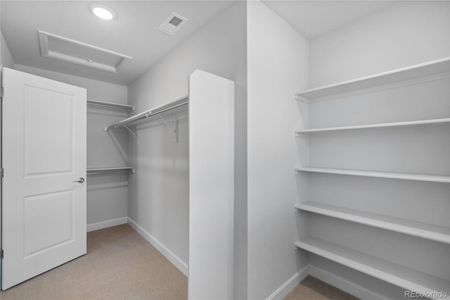 New construction Single-Family house 1949 Spencer Ave, Castle Rock, CO 80104 - image 7