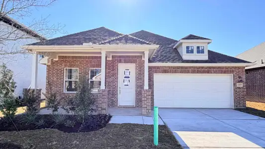 New construction Single-Family house 1009 Colgate Cir, Princeton, TX 75407 plan Bridgeport - image