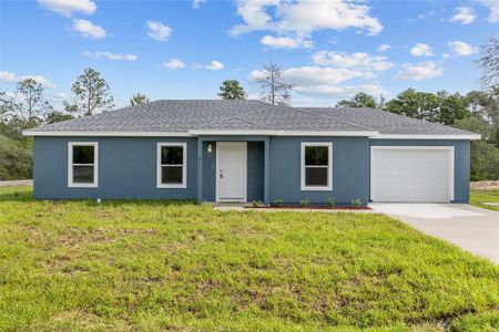 New construction Single-Family house 21 Fisher Pl, Ocklawaha, FL 32179 - image